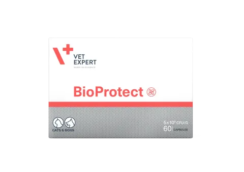 Vet Expert BioProtect Вет Експерт БіоПротект синбіотик на основі пробіотиків і пребіотиків для котів і собак, 60 капсул купити за ціною ₴1079.00