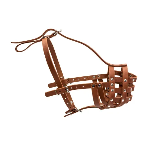 Намордник твердий "CoLLaR" (ротвейлер малий) коричневий купити за ціною ₴797.00