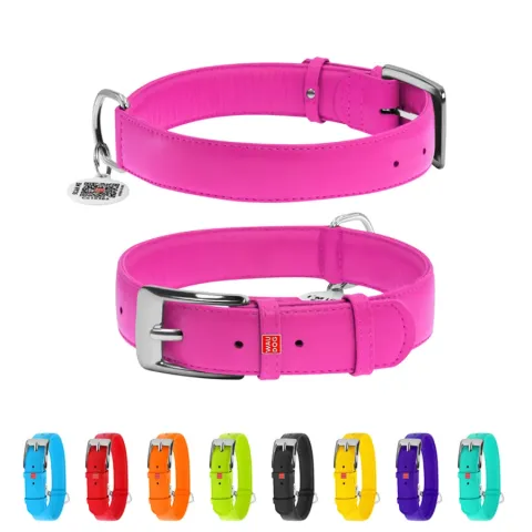 Нашийник для собак шкіряний WAUDOG Glamour з QR паспортом, без прикрас, Ш 35 мм, Дов 46-60 см рожевий купити за ціною ₴814.50