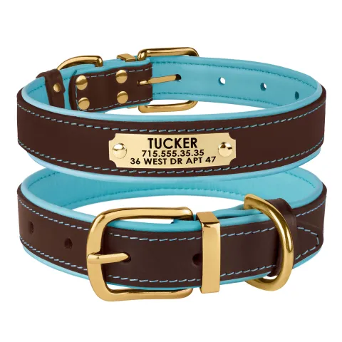 Нашийник для Собак Шкіряний BronzeDog Premium з Литою Латунною Фурнітурою та Адресником Коричнево-Блакитний  S(62052/Т) з гравіюванням купити за ціною ₴372.60