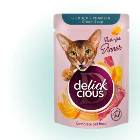 Вологий корм для котів Delickcious з качкою та гарбузом в крем-супі, 85 г купити за ціною ₴28.00