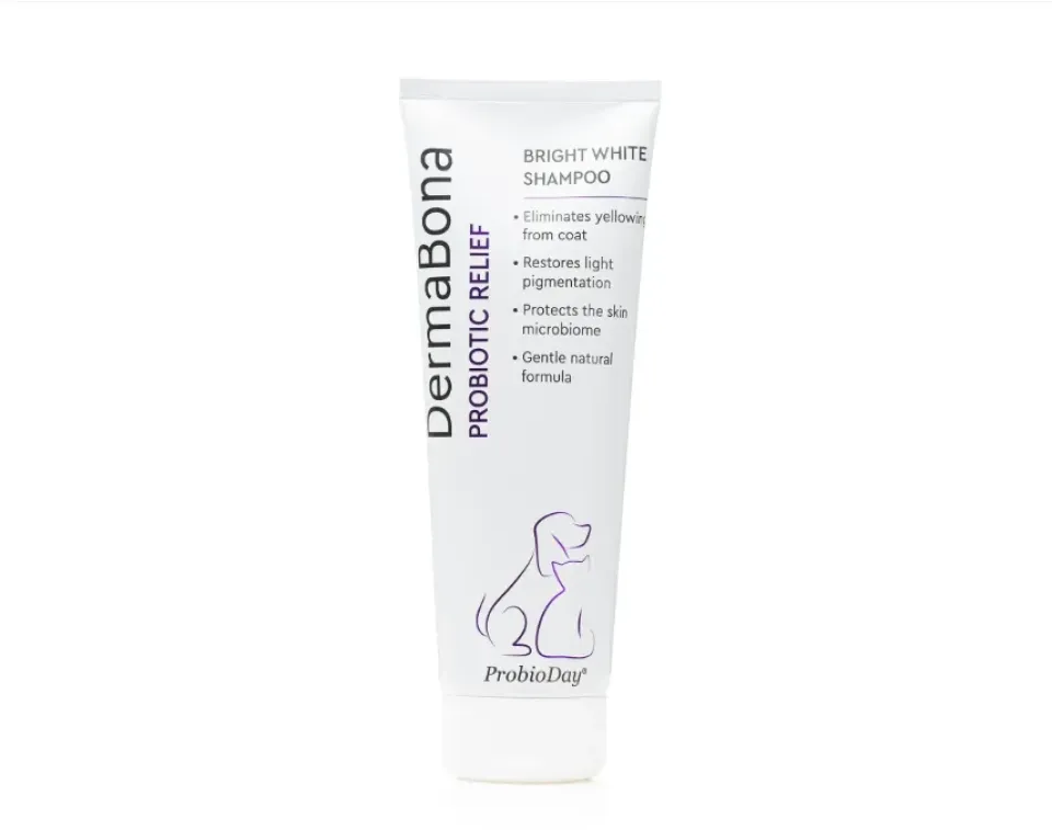 Фото Шампунь для білих собак і котів з пробіотиками DermaBona ProbioDay Bright White, 250 мл купити за ціною ₴394.00