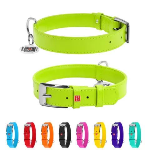 Нашийник для собак шкіряний WAUDOG Glamour з QR паспортом, без прикрас, Ш 20 мм, Дов 30-39 см салатовий купити за ціною ₴414.90