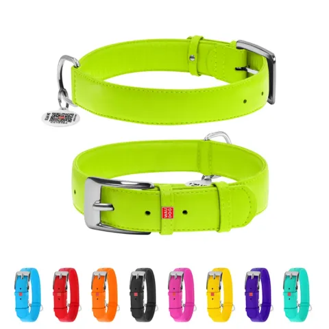 Нашийник для собак шкіряний WAUDOG Glamour з QR паспортом, без прикрас, Ш 35 мм, Дов 46-60 см салатовий купити за ціною ₴814.50