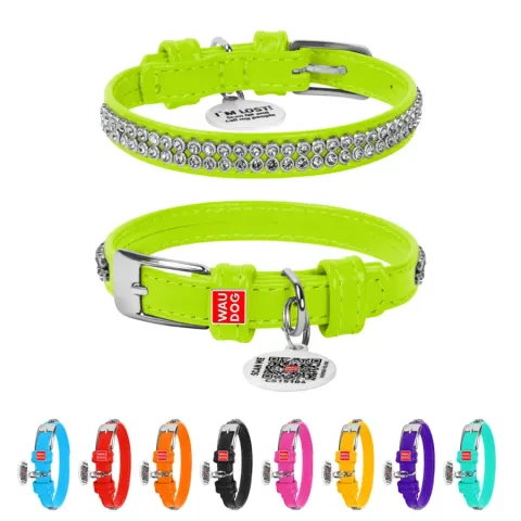 Нашийник для собак шкіряний WAUDOG Glamour з QR паспортом, з прикрасою "Полотно стрази", Ш 12 мм, Дов 21-29 см салатовий купити за ціною ₴275.40