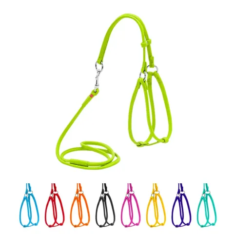 Шлея з повідцем для собак шкіряна WAUDOG Glamour з QR паспортом, кругла, Д 6 мм, А 26-46 см, В 30-50 см салатовий купити за ціною ₴603.90