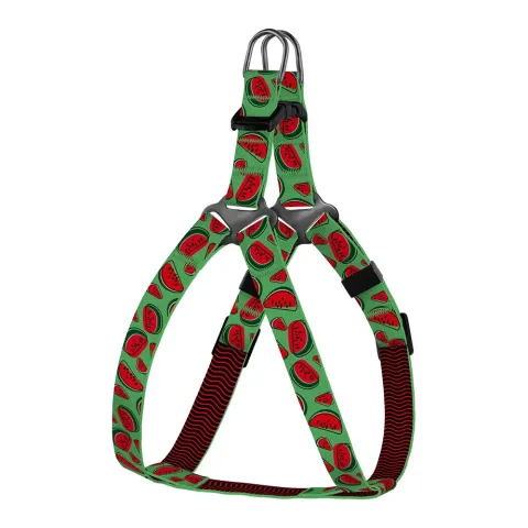 Шлея для Собак Дрібних Порід BronzeDog Urban Fruits Кавун  XS(69/8629) купити за ціною ₴217.80