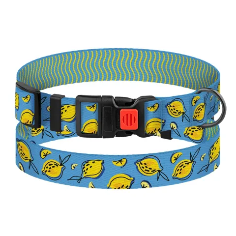Нашийник для Собак BronzeDog Urban Fruits Нейлоновий з Пластиковою Пряжкою Лимони  M(51/8632) купити за ціною ₴129.60