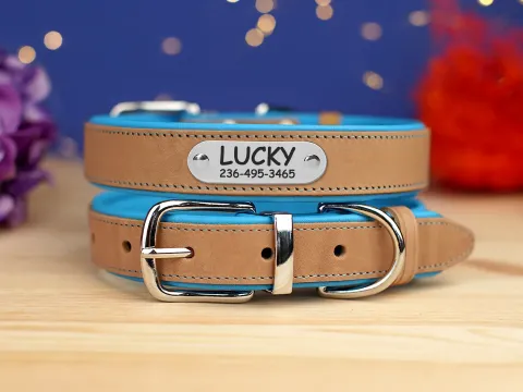 Нашийник для собак шкіряний BronzeDog підклеєний Бежевий хром Блакитний  S(54362) з гравіюванням купити за ціною ₴232.20