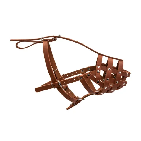 Намордник твердий "CoLLaR" (доберман, вівчарка, сеттер великий) коричневий купити за ціною ₴772.00