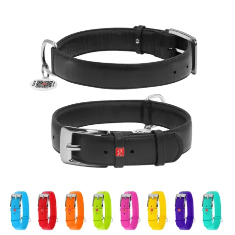 Нашийник для собак шкіряний WAUDOG Glamour з QR паспортом, без прикрас, Ш 35 мм, Дов 46-60 см чорний купити за ціною ₴814.50