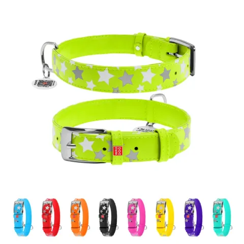 Нашийник для собак шкіряний WAUDOG Glamour з QR паспортом, візерунок "Зірочка", світонакоплювальний, Ш 20 мм, Дов 30-39 см салатовий купити за ціною ₴513.90