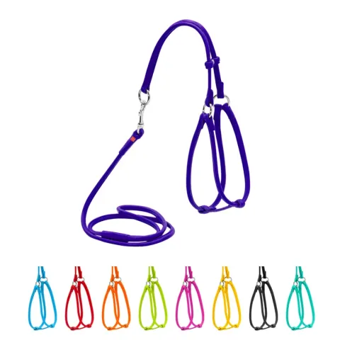 Шлея з повідцем для собак шкіряна WAUDOG Glamour з QR паспортом, кругла, Д 6 мм, А 26-46 см, В 30-50 см фіолетовий купити за ціною ₴603.90