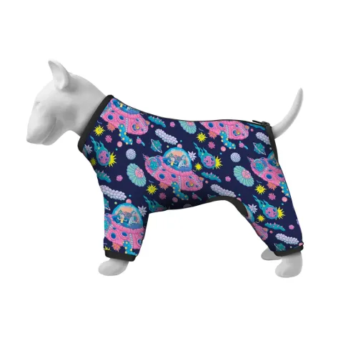 Вітровка для собак WAUDOG Clothes, малюнок "Рік та Морти 1" купити за ціною ₴393.00