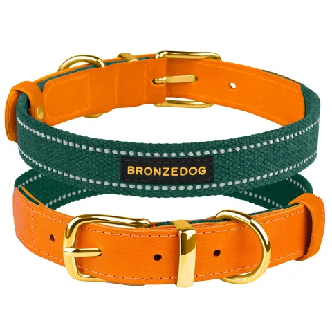 Нашийник для Собак Bronzedog Сotton Рефлекторний х/б+шкіра з Ремінною Пряжкою Зелений S купити за ціною ₴185.00