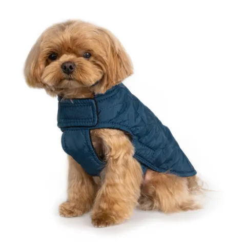 Куртка для собак Barksi Textile Синя  2XS(185102) купити за ціною ₴557.00