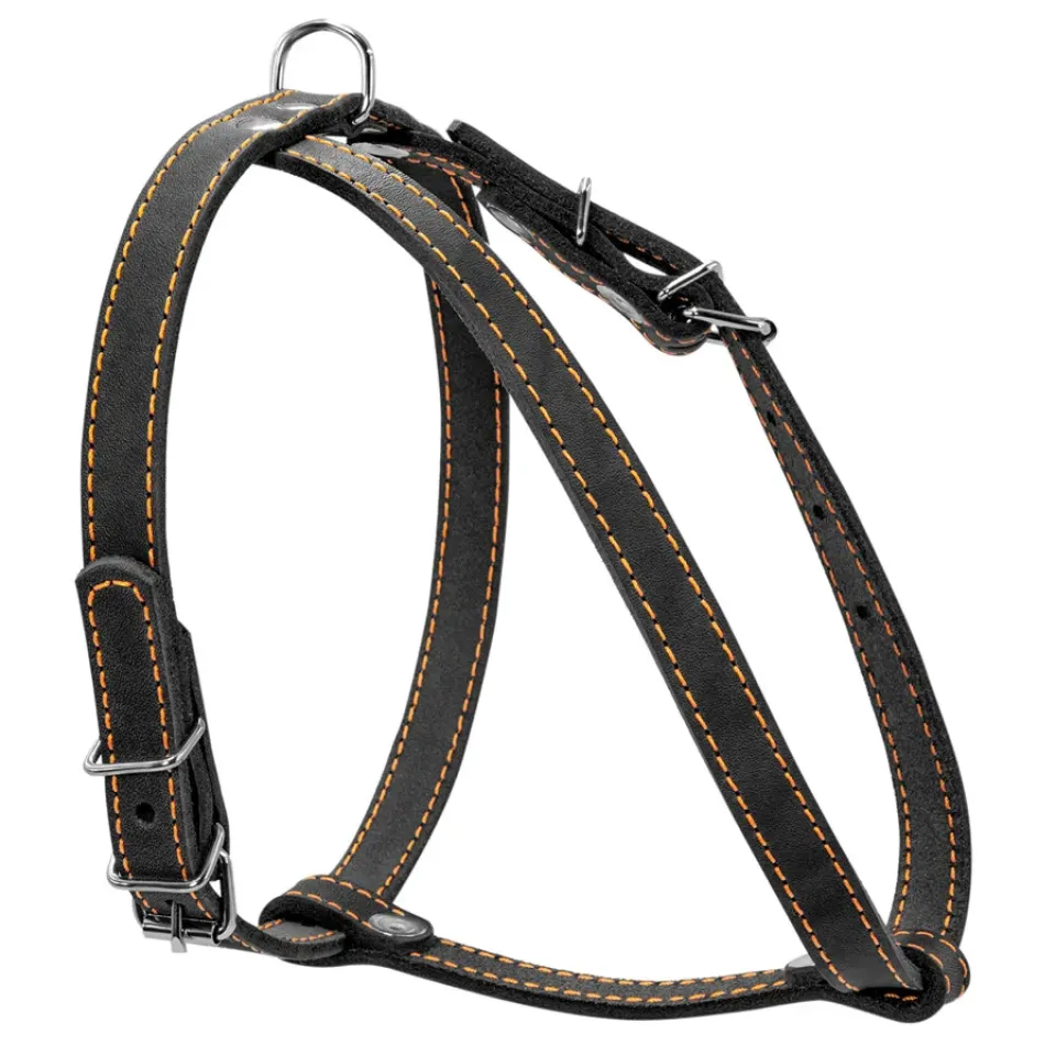 Фото Шлея "CoLLaR" одинарна для малих порід собак (ширина 14мм, А:40-48см, В:43-51см) чорний купити за ціною ₴346.00