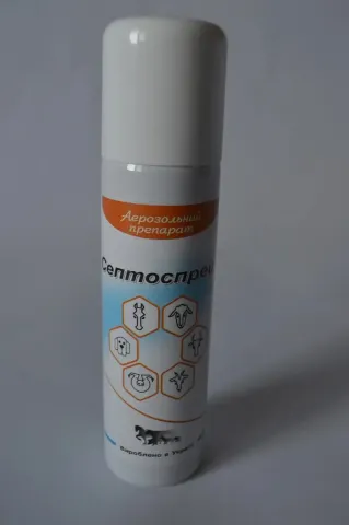 Септоспрей-антисептичний засіб 160 мл купити за ціною ₴238.00