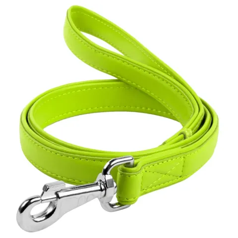 Повідець для собак шкіряний WAUDOG Glamour, Ш 25 мм, Дов 122 см салатовий купити за ціною ₴941.40