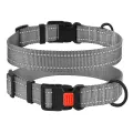 Фото Нашийник для Собак BronzeDog Active Нейлоновий зі Світловідбиттям та Пластиковою Пряжкою Сірий  S(50/1311/Т) купити за ціною ₴103.00