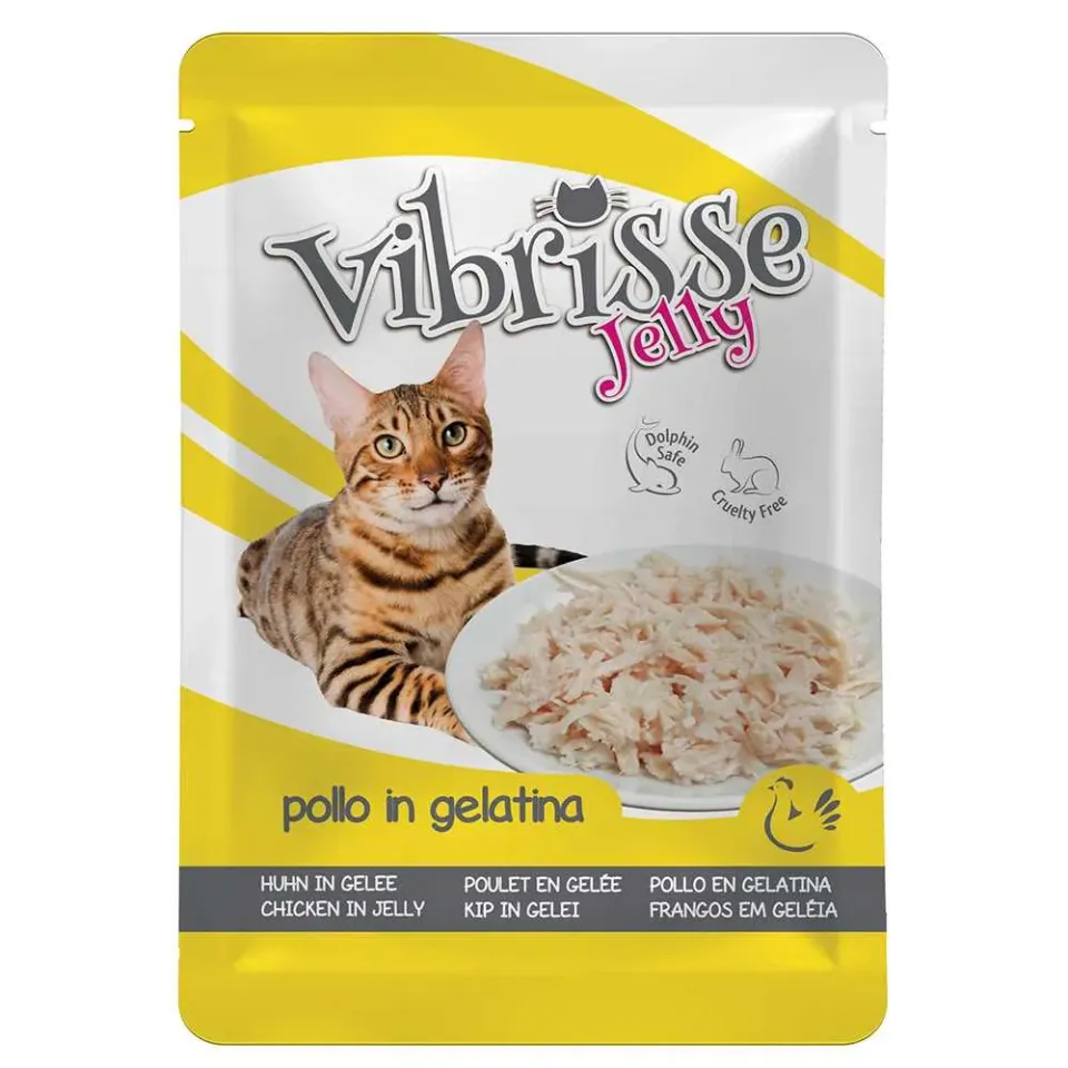 Фото Пауч для котів VIBRISSE JELLY, куряче філе в желе, 70г купити за ціною ₴85.00