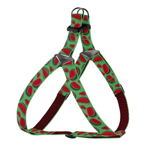 Шлея для Собак BronzeDog Urban Fruits Нейлонова Кавун  L(72/8629) купити за ціною ₴448.20