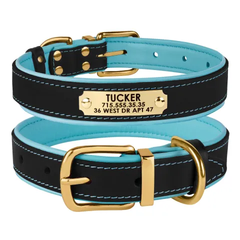 Нашийник для Собак Шкіряний BronzeDog Premium з Литою Латунною Фурнітурою та Адресником Чорно-Блакитний  XL(62042/Т) з гравіюванням купити за ціною ₴748.80