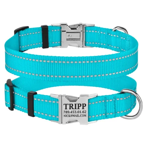 Нашийник для Собак BronzeDog Active Нейлоновий зі Світловідбиттям та Металевою Пряжкою Блакитний  S(32/1222/Т) купити за ціною ₴96.00