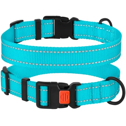 Нашийник для Собак BronzeDog Active Нейлоновий зі Світловідбиттям та Пластиковою Пряжкою Блакитний  M(51/1222/Т) купити за ціною ₴72.00