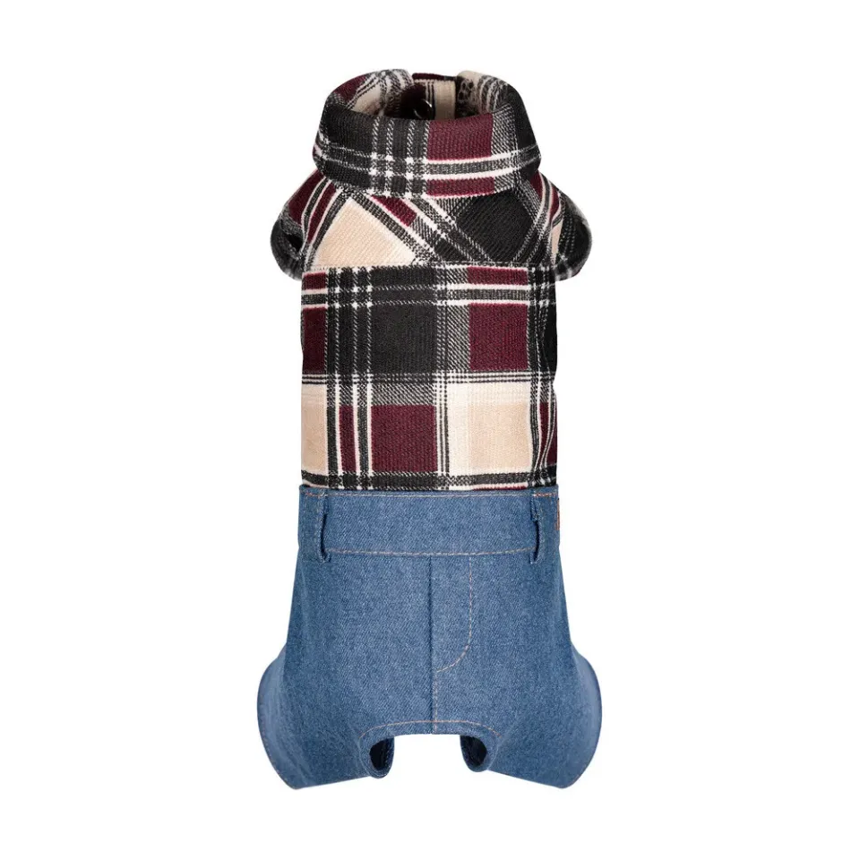Фото Костюм Pet Fashion Dandy для собак XS2 купити за ціною ₴999.00