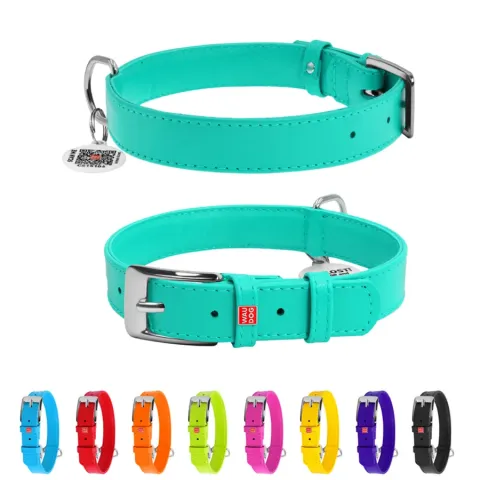 Нашийник для собак шкіряний WAUDOG Glamour з QR паспортом, без прикрас, Ш 25 мм, Дов 38-49 см ментоловий купити за ціною ₴512.10