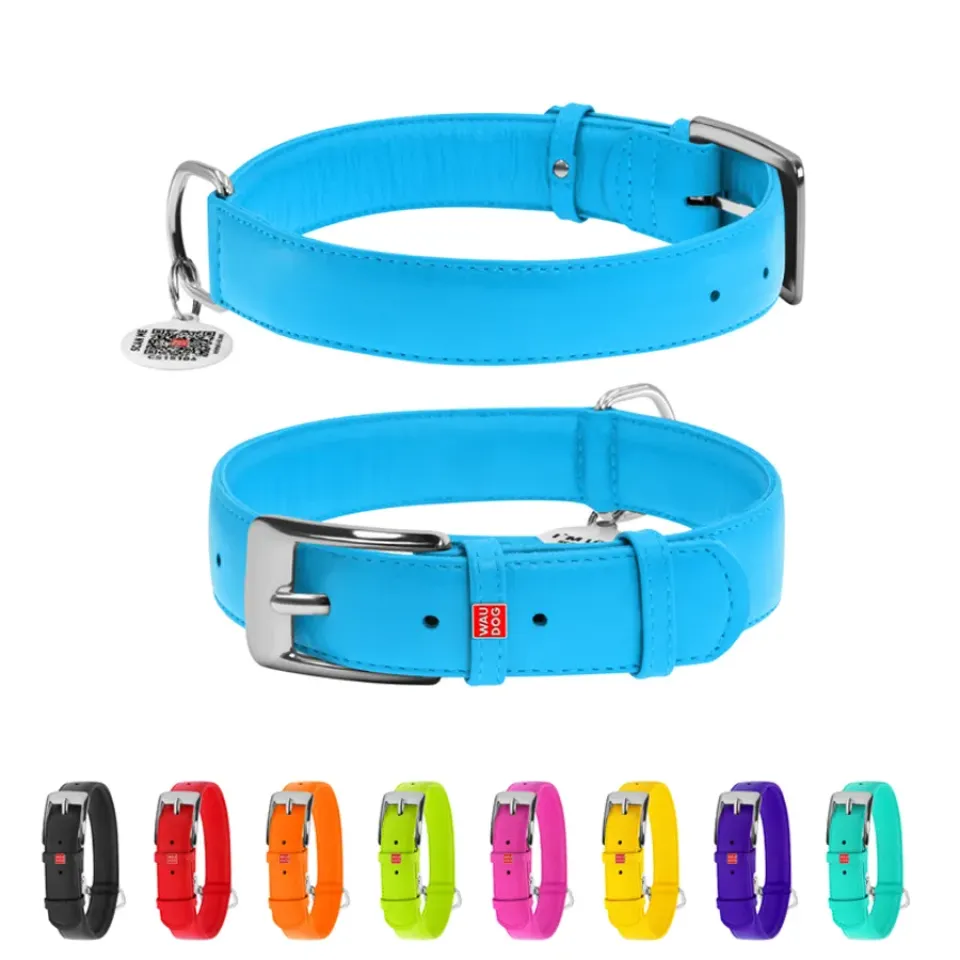 Фото Нашийник для собак шкіряний WAUDOG Glamour з QR паспортом, без прикрас, Ш 35 мм, Дов 46-60 см блакитний купити за ціною ₴814.50