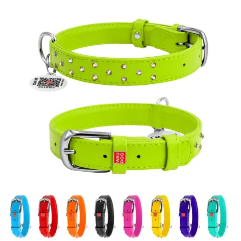 Нашийник для собак шкіряний WAUDOG Glamour з QR паспортом, з клейовими стразами, Ш 20 мм, Дов 30-39 см салатовий купити за ціною ₴506.70