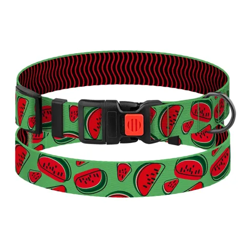 Нашийник для Собак BronzeDog Urban Fruits Нейлоновий з Пластиковою Пряжкою Кавун  XL(53/8629) купити за ціною ₴169.20