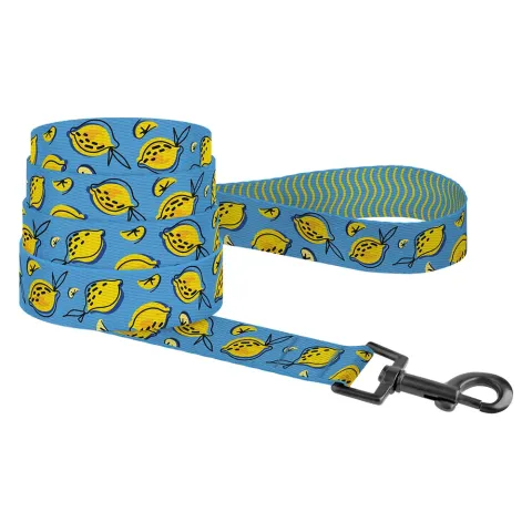 Повідець для Собак BronzeDog Urban Fruits Нейлоновий Лимони  S(60/8632) купити за ціною ₴171.00