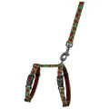 Фото Шлея з Поводком для Котів та Дрібних Собак BronzeDog Urban Fruits Кавун  2XS(57/8629) купити за ціною ₴284.40