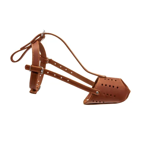 Намордник "CoLLaR" (доберман) коричневий купити за ціною ₴806.00