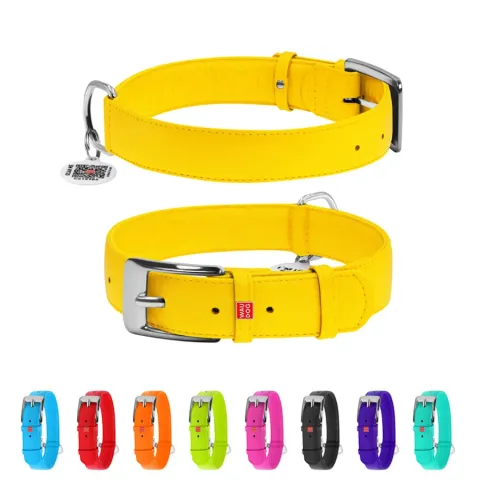 Нашийник для собак шкіряний WAUDOG Glamour з QR паспортом, без прикрас, Ш 35 мм, Дов 46-60 см жовтий купити за ціною ₴698.40