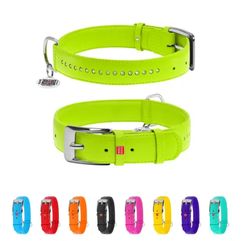 Нашийник для собак шкіряний WAUDOG Glamour з QR паспортом, подвійний зі стразами, Ш 15 мм, Дов 27-36 см салатовий купити за ціною ₴369.00