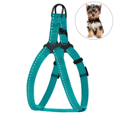 Шлея для Собак Дрібних Порід BronzeDog Active Нейлонова зі Світловідбиттям Бірюзова 2XS купити за ціною ₴59.00